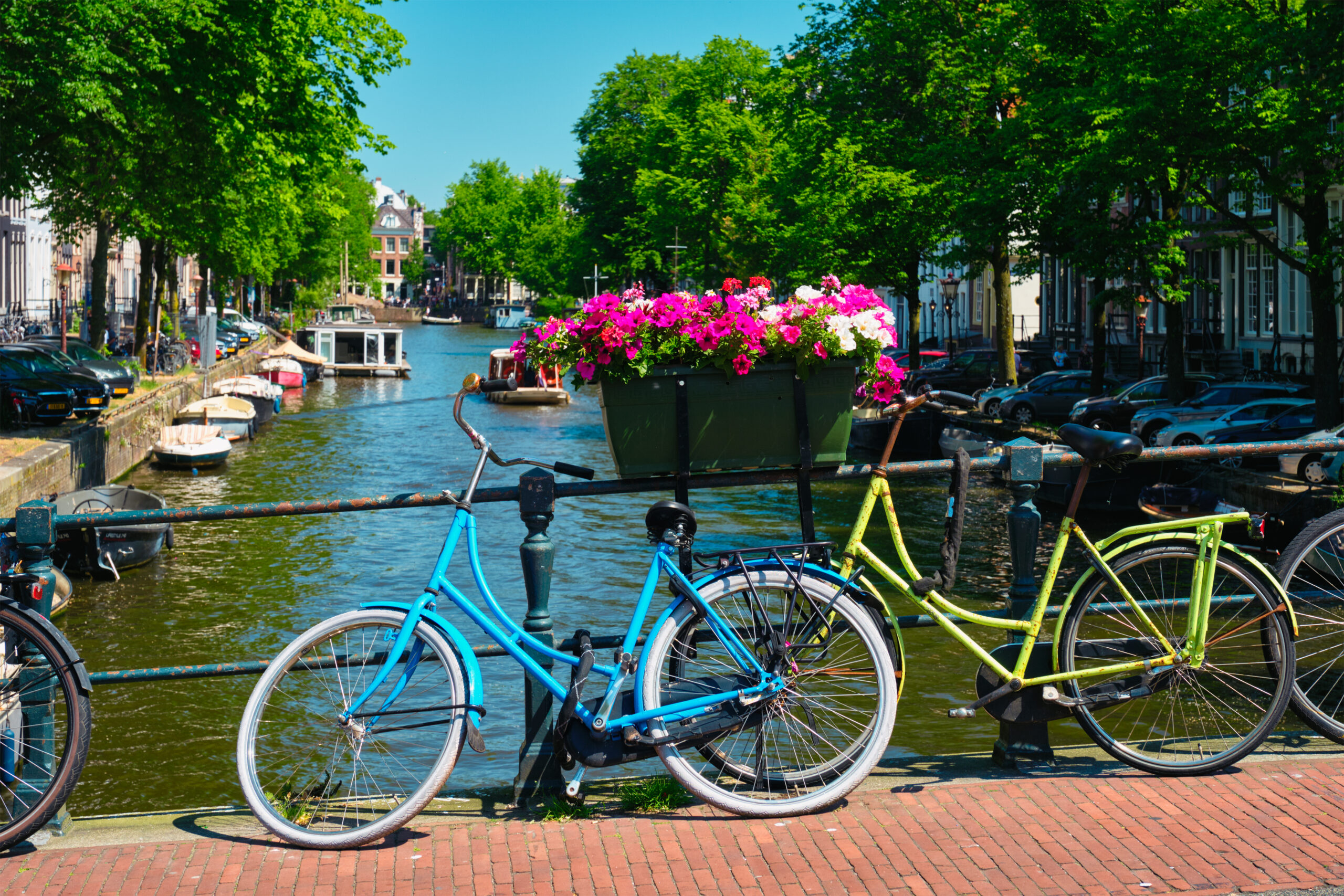 Biking in the Netherlands